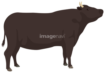 うし イラスト 肉牛 の画像素材 生き物 イラスト Cgのイラスト素材ならイメージナビ