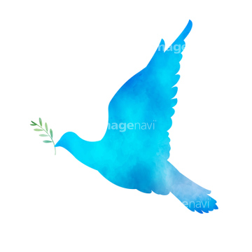 青い鳥 かわいい ロイヤリティフリー の画像素材 鳥類 生き物の写真素材ならイメージナビ