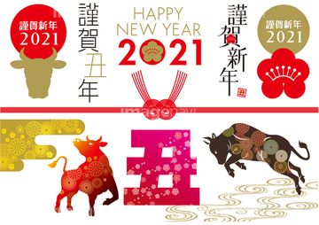 和柄 冬 正月 テンプレート 蛇 冬 明るい 明暗 和風 イラスト の画像素材 花 植物 イラスト Cgのイラスト素材ならイメージナビ