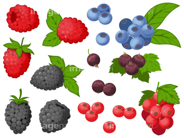 カシス イラスト の画像素材 医療 イラスト Cgのイラスト素材ならイメージナビ