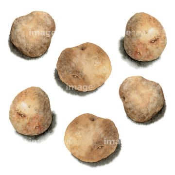 じゃがいも イラスト 男爵 ジャガイモ の画像素材 食べ物 飲み物 イラスト Cgのイラスト素材ならイメージナビ