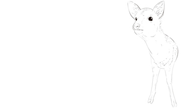 Line Art 手書き 黒色 の画像素材 生き物 イラスト Cgの写真素材ならイメージナビ