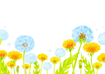 水彩 花 タンポポ イラスト の画像素材 テーマ イラスト Cgのイラスト素材ならイメージナビ