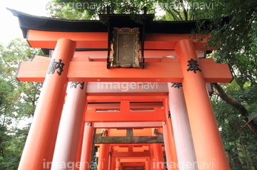 伏見稲荷大社の千本鳥居 の画像素材 日本 国 地域の写真素材ならイメージナビ