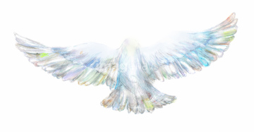 鳥 飛ぶ 飛び立つ イラスト の画像素材 生き物 イラスト Cgのイラスト素材ならイメージナビ