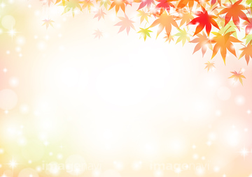 秋フレーム の画像素材 楽器 オブジェクトの写真素材ならイメージナビ