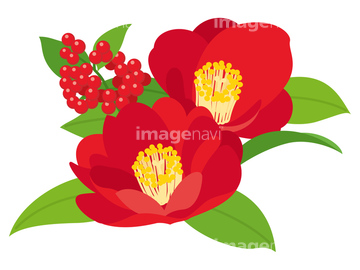 椿 イラスト 綺麗 の画像素材 花 植物 イラスト Cgのイラスト素材ならイメージナビ