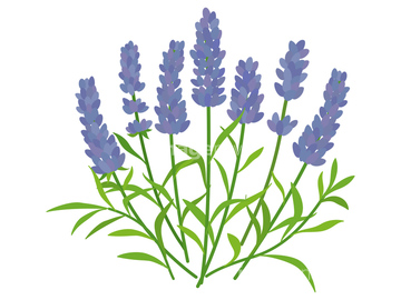 紫色花 の画像素材 花 植物 イラスト Cgの写真素材ならイメージナビ