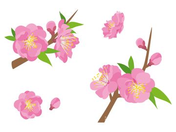 桃の花 イラスト の画像素材 花 植物 イラスト Cgのイラスト素材ならイメージナビ