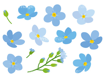 青色の花 の画像素材 テーマ イラスト Cgの写真素材ならイメージナビ