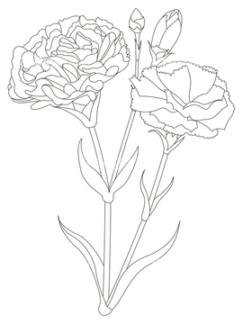 マザーズデイ の画像素材 季節 イベント イラスト Cgの写真素材ならイメージナビ