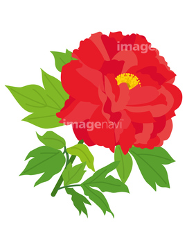 赤色花 の画像素材 樹木 花 植物の写真素材ならイメージナビ