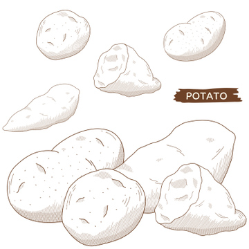 芋掘り の画像素材 季節 形態別食べ物 食べ物の写真素材ならイメージナビ