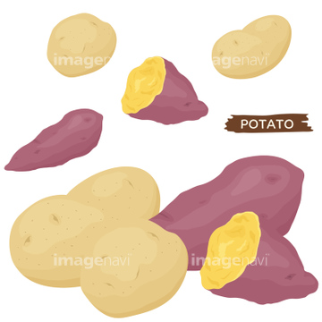 芋掘り の画像素材 季節 形態別食べ物 食べ物の写真素材ならイメージナビ