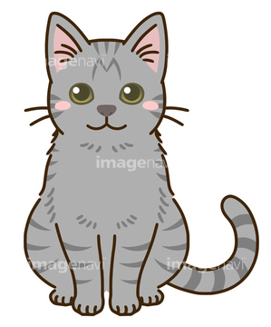 ネコ 座る おすわり の画像素材 ペット 生き物の写真素材ならイメージナビ