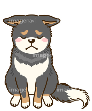 犬のイラスト特集 柴犬 イラスト の画像素材 年賀 グリーティングのイラスト素材ならイメージナビ