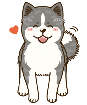 画像素材 年賀 グリーティングの写真素材ならイメージナビ