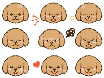 画像素材 生き物 イラスト Cgの写真素材ならイメージナビ