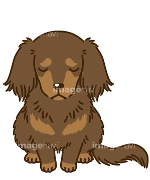 犬 かわいい ダックスフント イラスト の画像素材 年賀 グリーティングのイラスト素材ならイメージナビ