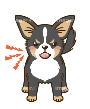 犬のイラスト特集 チワワ イラスト の画像素材 年賀 グリーティングのイラスト素材ならイメージナビ