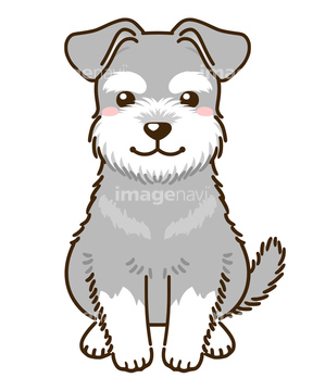 犬 かわいい シュナウザー イラスト の画像素材 年賀 グリーティングのイラスト素材ならイメージナビ