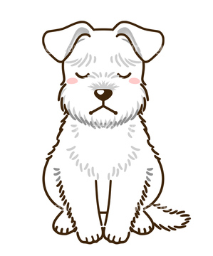 犬 かわいい シュナウザー イラスト の画像素材 年賀 グリーティングのイラスト素材ならイメージナビ