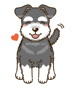 犬 かわいい シュナウザー イラスト の画像素材 年賀 グリーティングのイラスト素材ならイメージナビ