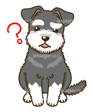 犬 かわいい シュナウザー イラスト の画像素材 年賀 グリーティングのイラスト素材ならイメージナビ