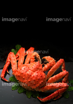 タラバガニ の画像素材 魚介 食べ物の写真素材ならイメージナビ