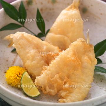 きす 鱚 の画像素材 魚介 食べ物の写真素材ならイメージナビ