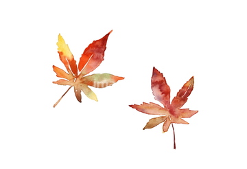 イラスト Cg 花 植物 紅葉 の画像素材 イラスト素材ならイメージナビ