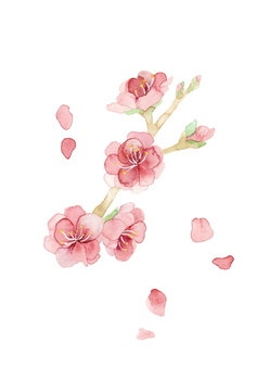 イラスト 桃の花 綺麗 の画像素材 年賀 グリーティングのイラスト素材ならイメージナビ