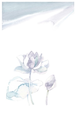 花 葬儀 ハスの花 の画像素材 花 植物 イラスト Cgの写真素材ならイメージナビ