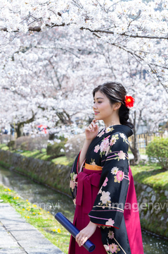 和服 横向き 袴 の画像素材 お祝い事 弔事 ライフスタイルの写真素材ならイメージナビ 和服 横向き 袴 の画像素材 お祝い事 弔事 ライフスタイルの写真素材ならイメージナビ