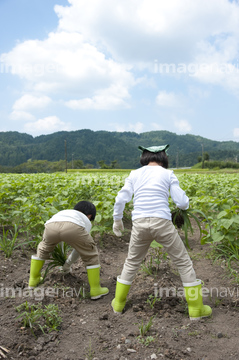 かがむ 後ろ姿 中腰 の画像素材 写真素材ならイメージナビ
