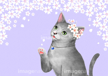 猫 イラスト かわいい ロシアンブルー の画像素材 生き物 イラスト Cgのイラスト素材ならイメージナビ