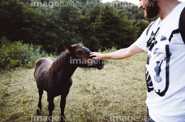 馬 撫でる 競走馬 子馬 の画像素材 写真素材ならイメージナビ