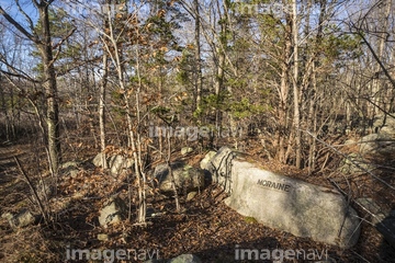 陰毛 の画像素材 体のパーツ 人物の写真素材ならイメージナビ
