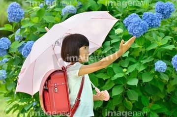 傘 差し出す の画像素材 季節 人物の写真素材ならイメージナビ