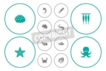 魚 イラスト 青魚 イワシ 肉料理 ロイヤリティフリー の画像素材 イラスト素材ならイメージナビ