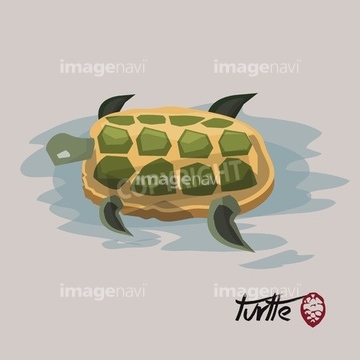 動物のイラスト カメ かわいい 活発 イラスト の画像素材 爬虫類 両生類 生き物のイラスト素材ならイメージナビ