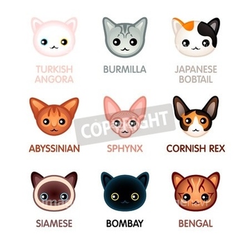 猫 イラスト かわいい ベンガル の画像素材 布 皮革 バックグラウンドのイラスト素材ならイメージナビ