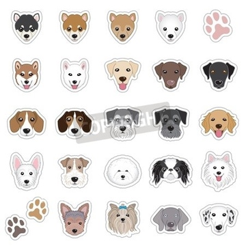 犬 足跡 の画像素材 海 自然 風景の写真素材ならイメージナビ