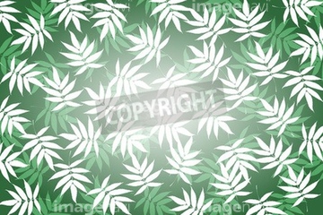 耳打ち イラスト 夏 の画像素材 季節 イベント イラスト Cgのイラスト素材ならイメージナビ 耳打ち イラスト 夏 の画像素材 季節 イベント イラスト Cgのイラスト素材ならイメージナビ