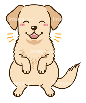 犬のイラスト特集 ラブラドールレトリーバー 上機嫌 イラスト の画像素材 生き物 イラスト Cgのイラスト素材ならイメージナビ