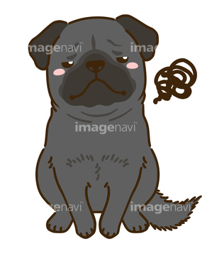 犬のイラスト特集 パグ イラスト の画像素材 生き物 イラスト Cgのイラスト素材ならイメージナビ