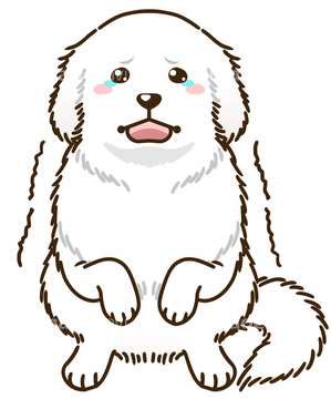 家族 イラスト かわいい 恐怖 の画像素材 生き物 イラスト Cgのイラスト素材ならイメージナビ