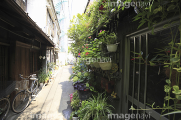 東京 下町 家 一軒家 の画像素材 都会 町並 建築の写真素材ならイメージナビ