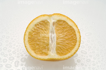 果物 夏 みずみずしい 新鮮 柑橘類 の画像素材 テーマ イラスト