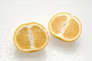 果物 夏 みずみずしい 新鮮 柑橘類 の画像素材 テーマ イラスト Cgの写真素材ならイメージナビ